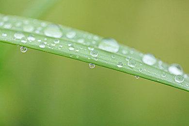 《红霞岛》更新后玩家数上涨66%：就多了23人 太尴尬